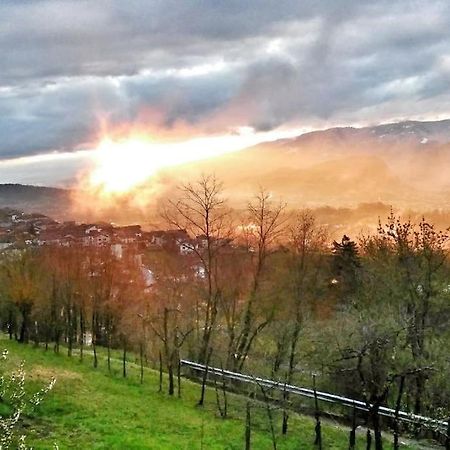 Casa Nella Natura Il Risveglio Degli Elfi Pedavena Exteriör bild