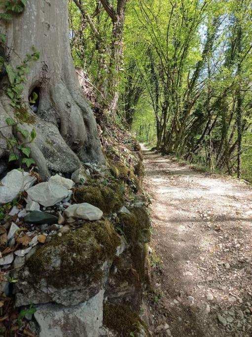 Casa Nella Natura Il Risveglio Degli Elfi Pedavena Exteriör bild