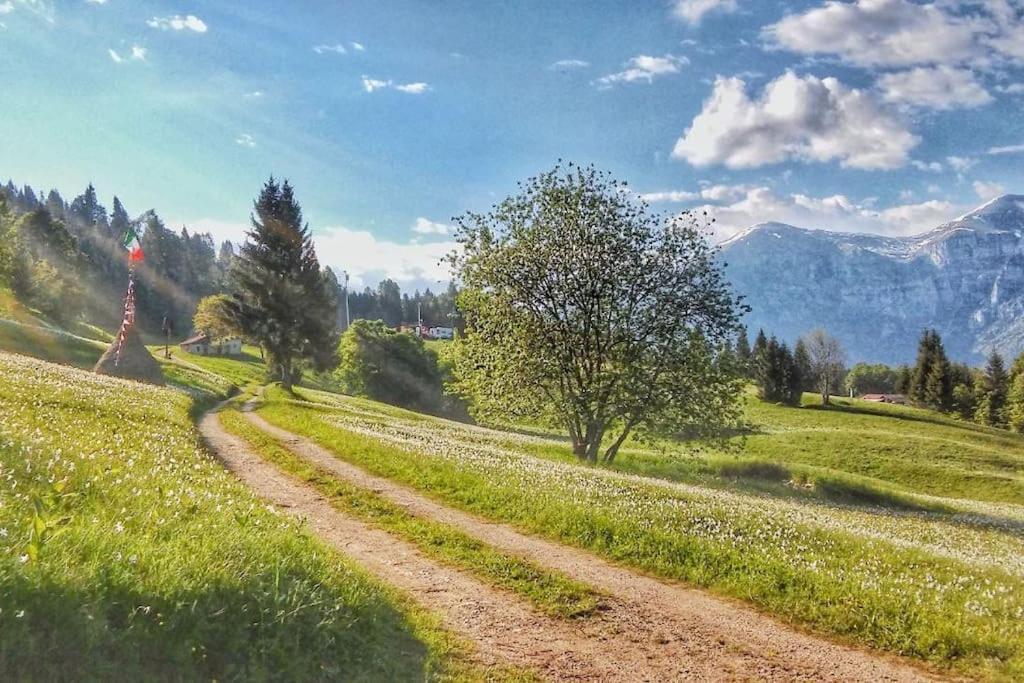 Casa Nella Natura Il Risveglio Degli Elfi Pedavena Exteriör bild